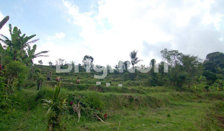 TANAH DI JALAN INDUK UTAMA DENPASAR SINGARAJA 2