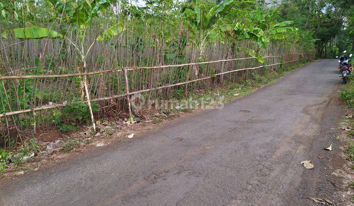 Dijual Tanah Kebun Di Ciawi Japura Kab Cirebon 2