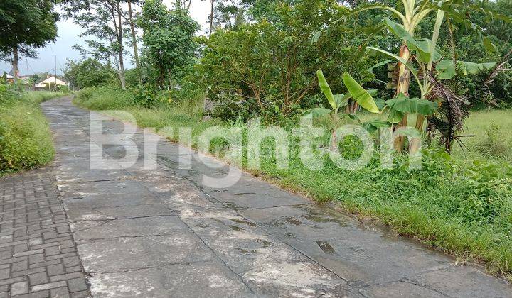 Tanah Pekarangan Luas Banget Di sidokarto Dekat Koramil Godean 2