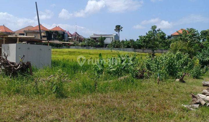 LARGE LAND VIEW FIELDS AROUND UMALAS LOCATION NEAR CANGGU 1