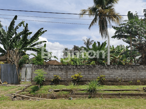 TANAH COCOK UNTUK PERUMAHAN DI TABANAN 2