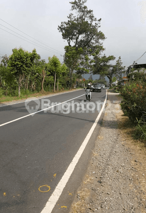 TANAH JALAN UTAMA BATURITI BEDUGUL 2