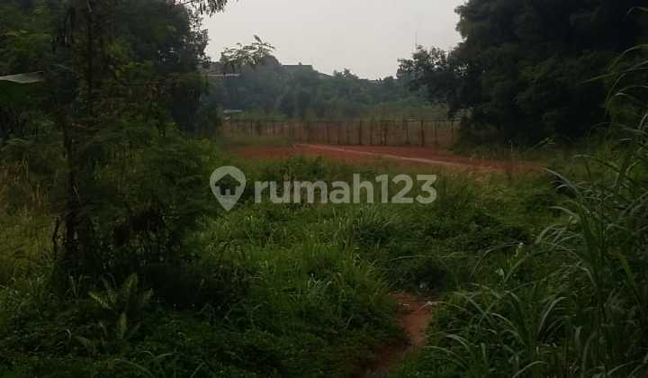 Asli MURAH!! Tnh Pinang Ranti Jakarta Timur Luas 44000 m2 Hanya 6jt/m2 Nego Asli MURAH!! Tnh Pinang Ranti Jakarta Timur Luas 44000 m2 Hanya 6jt/m2 Nego