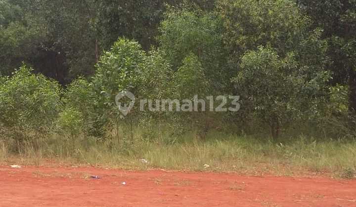 Asli MURAH!! Tnh Pinang Ranti Jakarta Timur Luas 44000 m2 Hanya 6jt/m2 Nego Asli MURAH!! Tnh Pinang Ranti Jakarta Timur Luas 44000 m2 Hanya 6jt/m2 Nego