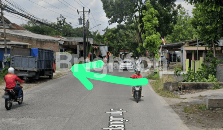 TANAH ELANG RAYA PINGGIR JALAN STRATEGIS COCOK BUAT USAHA SAMBIROTO 1