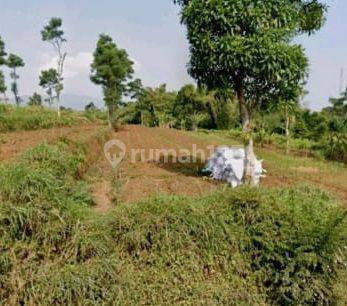 Kavling Tanah Lokasi Strategis di Tanjung Sari, Sumedang 2