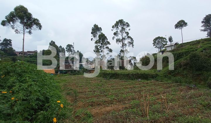 TANAH PINGGIR JALAN PANGALENGAN COCOK UNTUK USAHA WISATA DAN KULINER TANAH PINGGIR JALAN PANGALENGAN COCOK UNTUK USAHA WISATA DAN KULINER