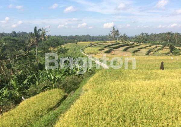 LARGE LAND IN UBUD WITH AMAZING AND INTERESTING VIEWS 2