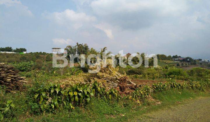 tanah kebun daerah Bumiaji kota Batu 2