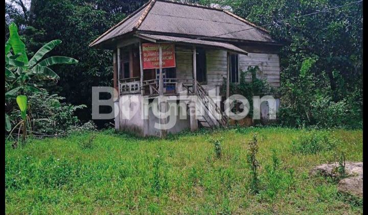 Tanah lahan peternakan Air Batu 1