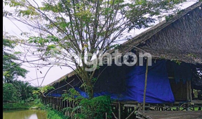 Tanah lahan peternakan Air Batu 2