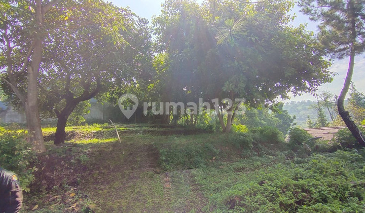 Kavling Dago Kelinci no 91