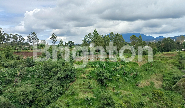 COOL LEMBANG LAND PLOT WITH VIEW OF TANGKUBAN PERAHU & BURANGRANG MOUNTAINS