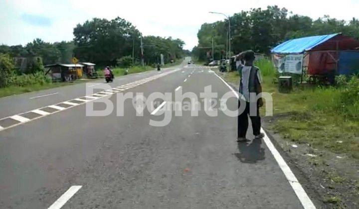 TANAH DI DEKAT JALAN LINGKAR PRACIMANTORO 2