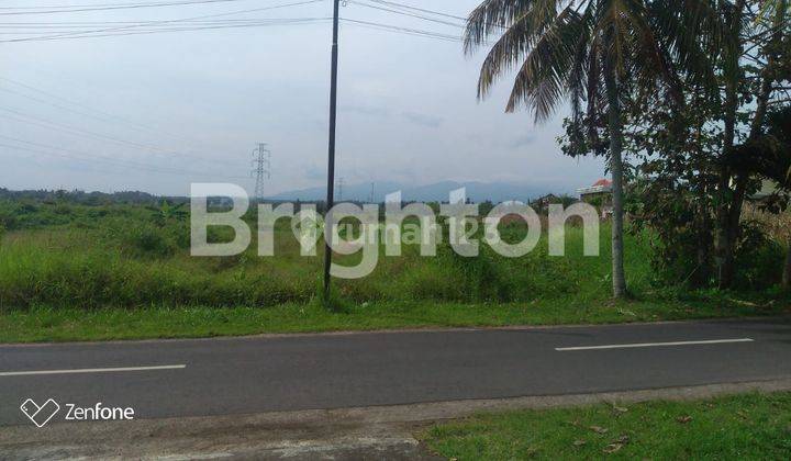 LAND NEAR MEDEWI BEACH IN JEMBRANA 1