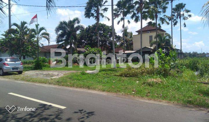 TANAH DEKAT PANTAI MEDEWI DI JEMBRANA 2