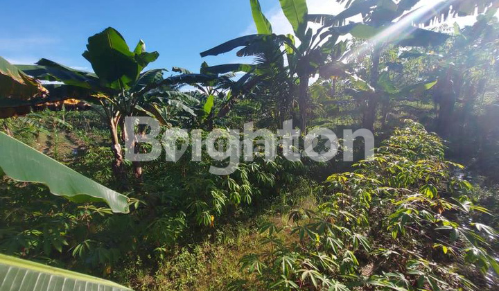 TANAH DI KARIANGAU KM 13