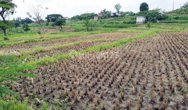 Tanah di Jl. PDAM, Plintahan, Pandaan - Pasuruan, Dekat Ayam Goreng Sri Pandaan 1