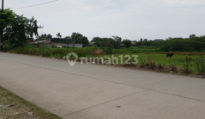 Large Land by the Main Road in Cibarusah, Cikarang