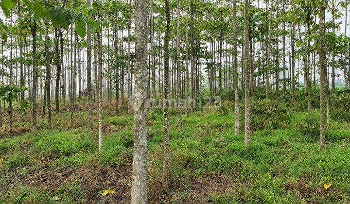 Lahan Best Location di Karawang Barat 1