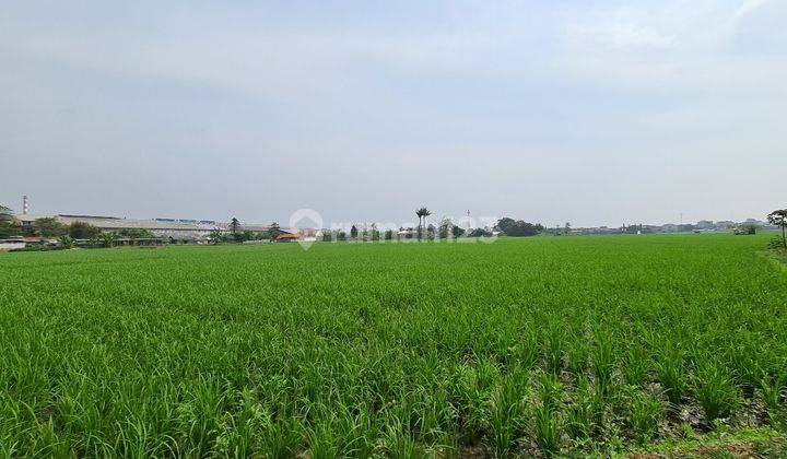 Lahan Luas di tengah Kota Karawang 1