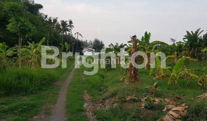 TANAH LOKASI DI DEMANGHARJO WARUREJA TEGAL 2