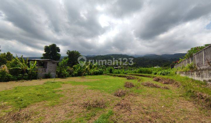 940 SQM FREEHOLD LAND IN LOVINA 2