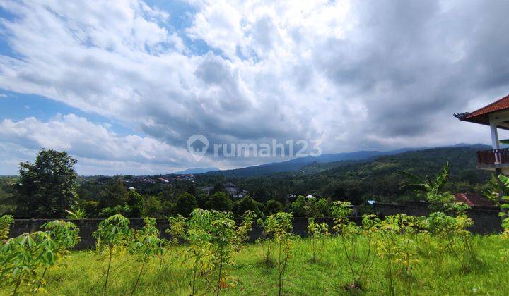 740 SQM FREEHOLD LAND IN LOVINA 1