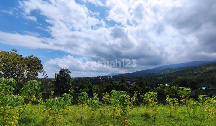 740 SQM FREEHOLD LAND IN LOVINA 2