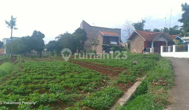 Tanah Murah di Jl Hegarmanah Jatinangor Sumedang Tanah Murah di Jl Hegarmanah Jatinangor Sumedang