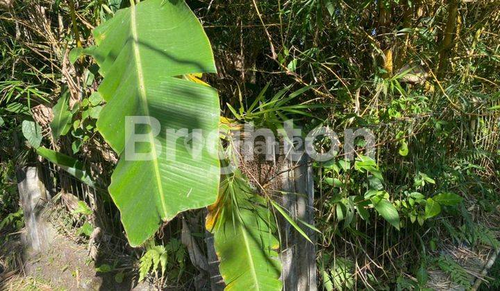 BANGUNAN HITUNG TANAH COCOK UNTUK VILLA 2