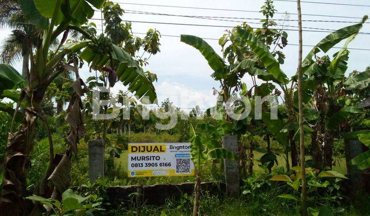 TANAH KOMERSIAL WONOSARI GUNUNGKIDUL 1