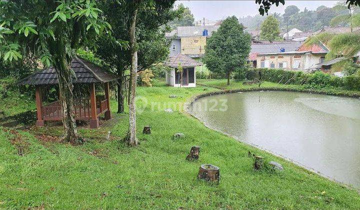 Dijual Cepat Tanah Di Ciawi Bogor Untuk Villa, Resort, Outbond Dan Hotel 1