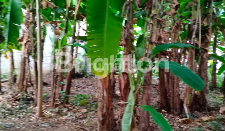 Tanah Kebon Jl.raya  Parung Serab Kota Tangerang