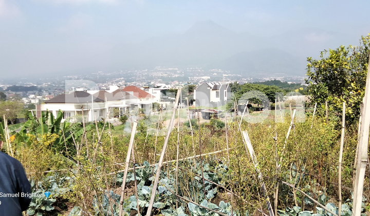 View Istimewa, Tanah Belakang Royal Residence Batu