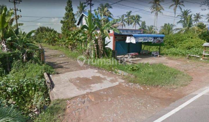 TANAH 3.8HA DI WAJOK HILIR SIANTAN, PONTIANAK 1