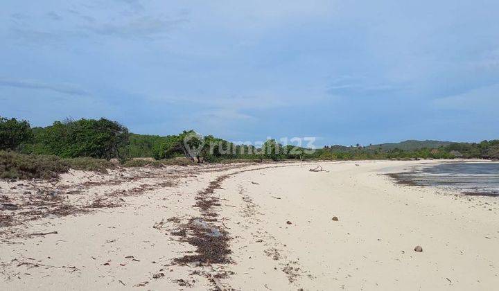 Dijual Cepat Tanah NTT dekat Villanya Luna Maya Akses Pantai dengan Pasir Putih 2