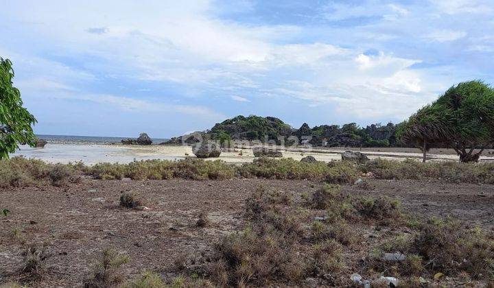 Dijual Cepat Tanah NTT dekat Villanya Luna Maya Akses Pantai dengan Pasir Putih 1