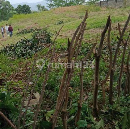 Dijual Murah Tanah 1 Hektar di Sukamakmur, Bogor 1