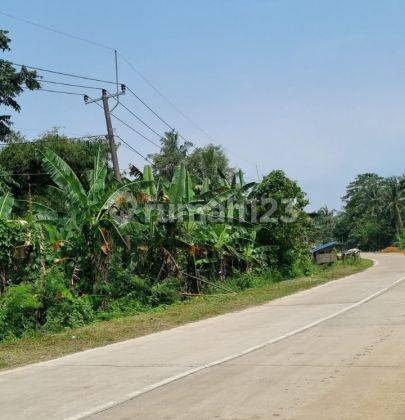 Tanah di Tanjung Lesung 2