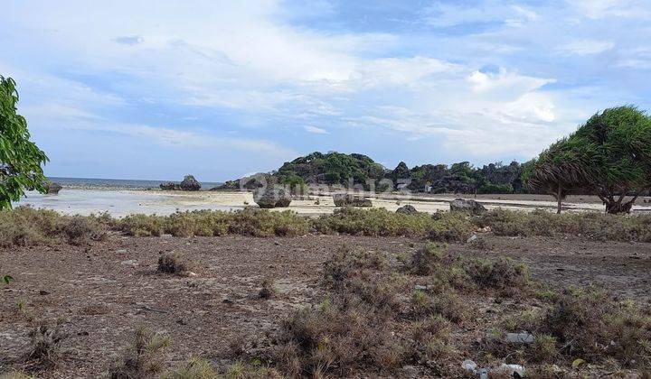 Dijual Tanah di Pulau Rote, NTT. Akses Pantai Pasir Putih. Harga Murah. SHM 2