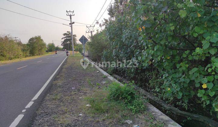 Dijual Tanah Dekat Exit Tol Tanjung Lesung Akses Pantai 2