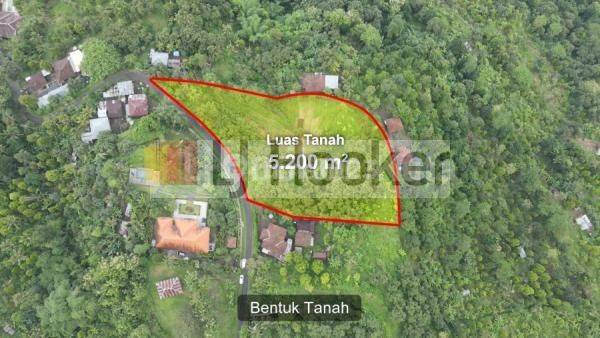 Land for sale in Kayu Putih Village Buleleng Suitable for Residential Villa or Investment 1