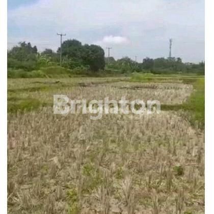 STRATEGIC LAND CHEAP IN BEKASI