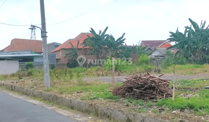 Tanah  Jl Ratu Dibalau Gang Seroja Tanjung Senang 2