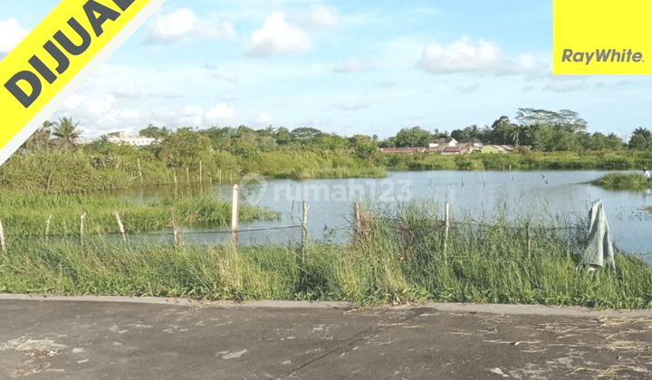 MURAH TANAH di Bengkulu 1