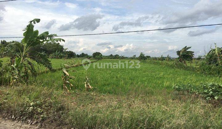 Tanah Murah  di Kedamean Gresik SHM  1