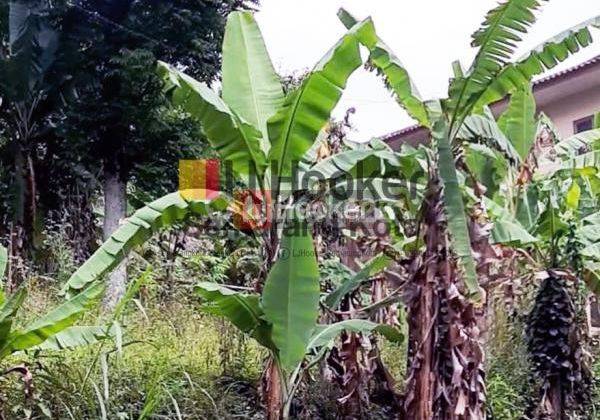 Kavling bagus di daerah Bandungan 1