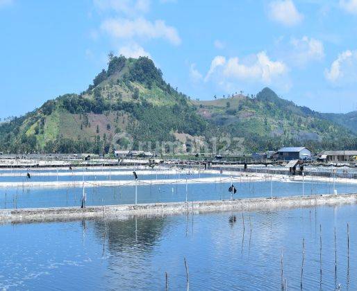 Tanah Pinggir Laut Lampung Selatan 1