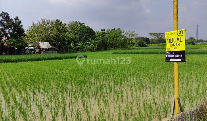 Tanah murah siap bangun dekat kantor imigrasi Cirebon 2